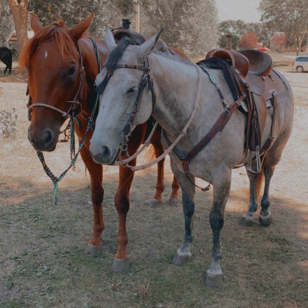 Meet your Posher, Sara